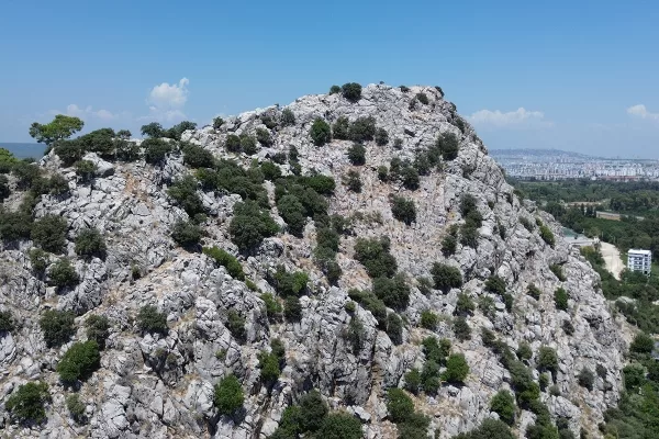 RUYADA  KÜÇÜK TEPE GÖRMEK