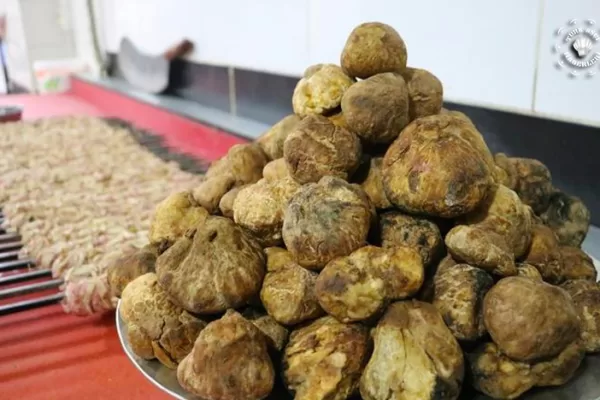 RUYADA   KUDRET  HELVASI GÖRMEK