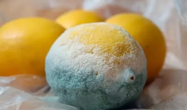 RUYADA   KÜF GÖRMEK