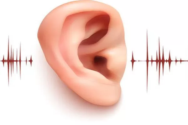 RUYADA    KULAK   ÇINLAMASI GÖRMEK