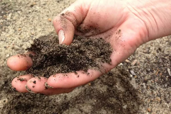 RUYADA   KUM  VE  TOPRAK GÖRMEK