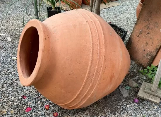 RUYADA  KÜP GÖRMEK