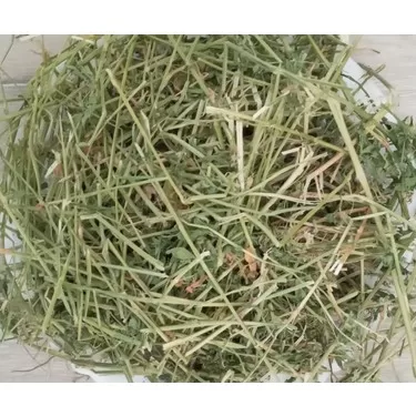 RUYADA  KURU YONCA GÖRMEK