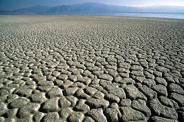 RUYADA   KURUYAN  YER GÖRMEK
