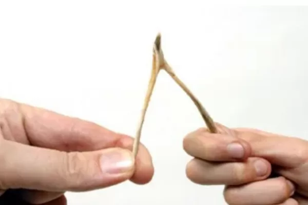 RUYADA   LADES GÖRMEK