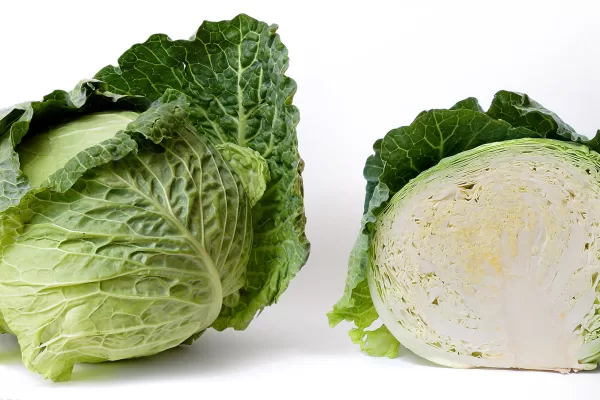 RUYADA  LAHANA GÖRMEK