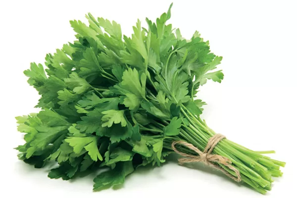 RUYADA  MAYDANOZ GÖRMEK