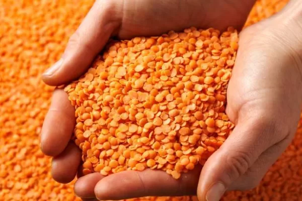 RUYADA   MERCİMEK GÖRMEK