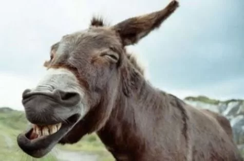 RUYADA  MERKEP GÖRMEK