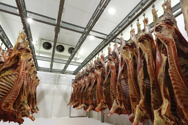 RUYADA   MEZBAHA GÖRMEK