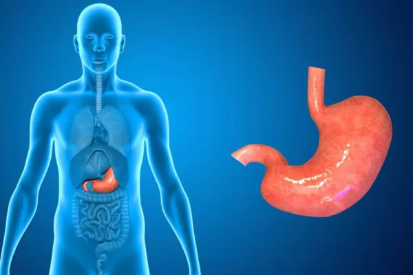 RUYADA  MİDE GÖRMEK