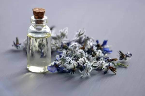 RUYADA    MİSK GÖRMEK