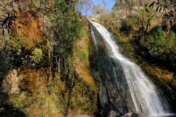 RUYADA   NEBİLER GÖRMEK
