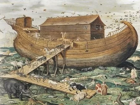 RUYADA   NUH  (A.S.) GÖRMEK