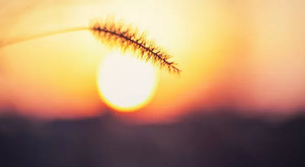 RUYADA   ÖĞLE GÖRMEK