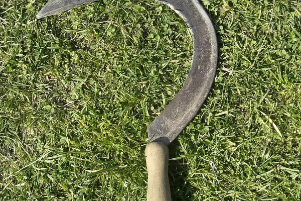 RUYADA   ORAK GÖRMEK