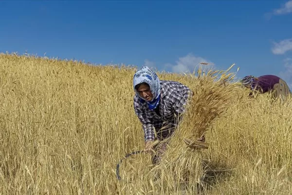 RUYADA   ORAKÇI GÖRMEK