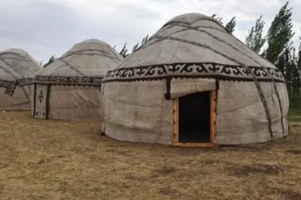 RUYADA   OTAĞ GÖRMEK