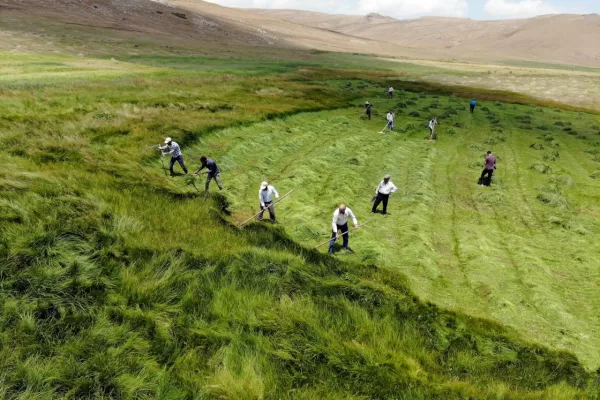 RUYADA  OTÇU GÖRMEK