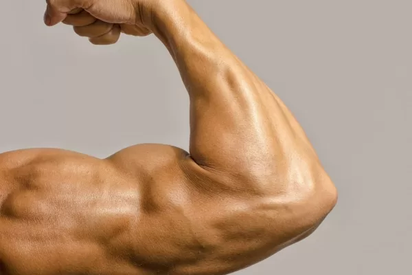 RUYADA   PAZU GÖRMEK