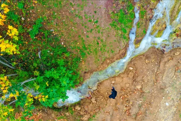 RUYADA  PINAR GÖRMEK