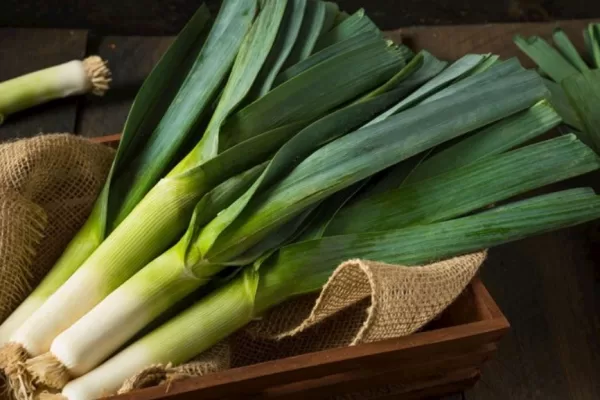 RUYADA   PIRASA GÖRMEK