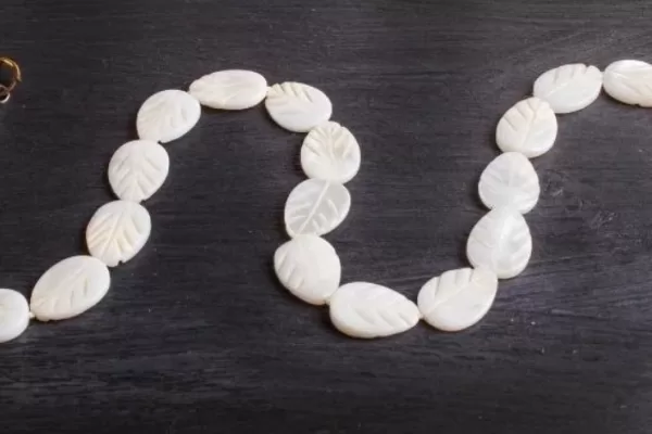 RUYADA   SADEF GÖRMEK