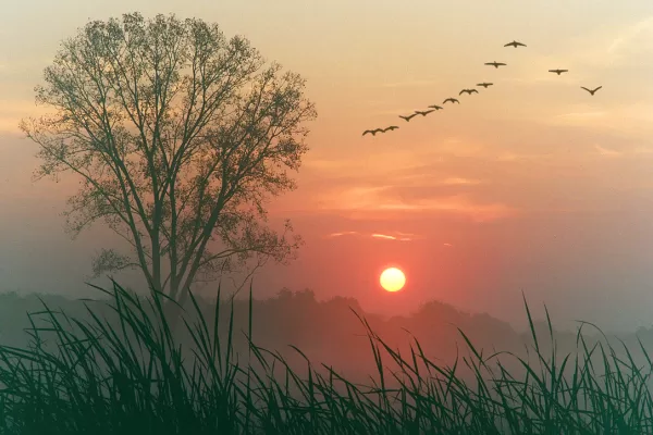 RUYADA  ŞAFAK VAKTİ GÖRMEK