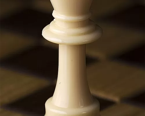 RUYADA  ŞAH GÖRMEK