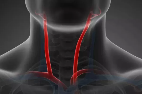 RUYADA  ŞAH DAMARI GÖRMEK