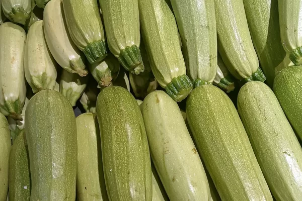 RUYADA  SAKIZ KABAĞI GÖRMEK