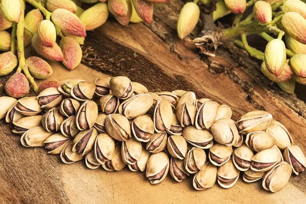 RUYADA  ŞAM FISTIĞI GÖRMEK