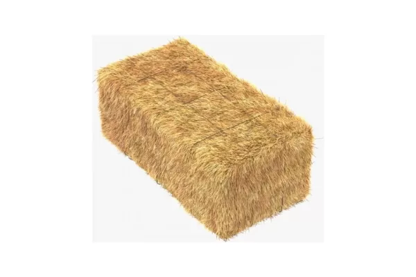 RUYADA  SAMAN GÖRMEK