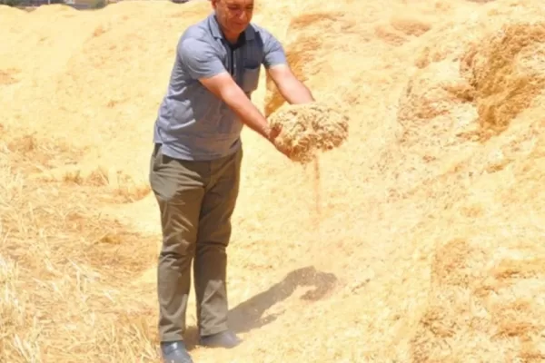 RUYADA   SAMANCI GÖRMEK