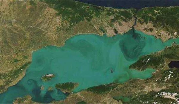 RUYADA   ŞAP  DENİZİ  VE  KILAVUZ GÖRMEK