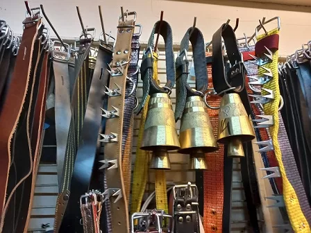 RUYADA  SARAÇ GÖRMEK