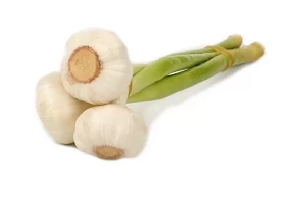 RUYADA  SARMISAK GÖRMEK