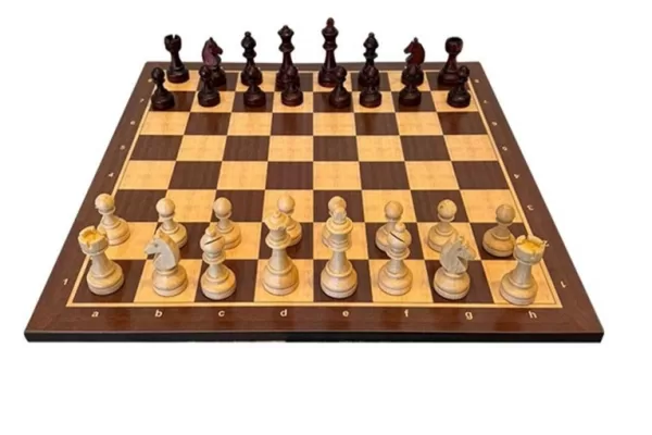 RUYADA  SATRANÇ GÖRMEK