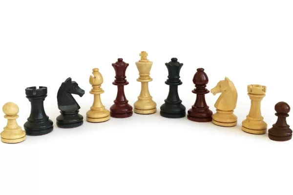 RUYADA   SATRANÇ  ATI GÖRMEK