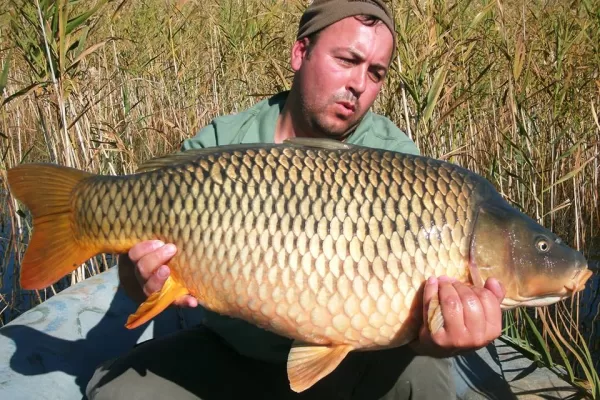 RUYADA  SAZAN BALIĞI GÖRMEK