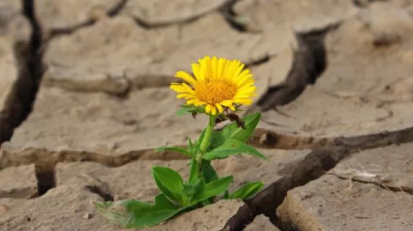 RUYADA   SEBAT GÖRMEK