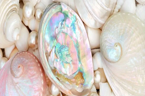 RUYADA   SEDEF GÖRMEK