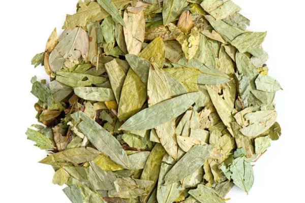 RUYADA  SENE GÖRMEK