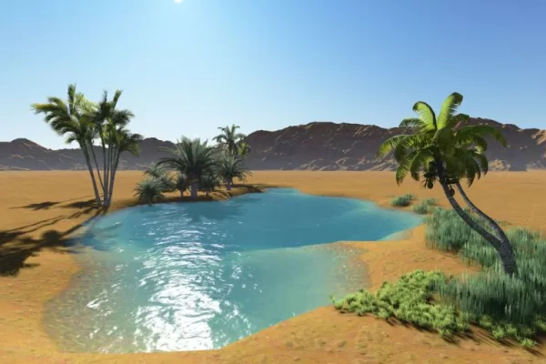 RUYADA  SERAP GÖRMEK