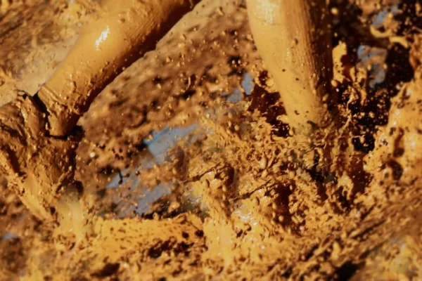 RUYADA  SICAK KARA BALÇIK GÖRMEK