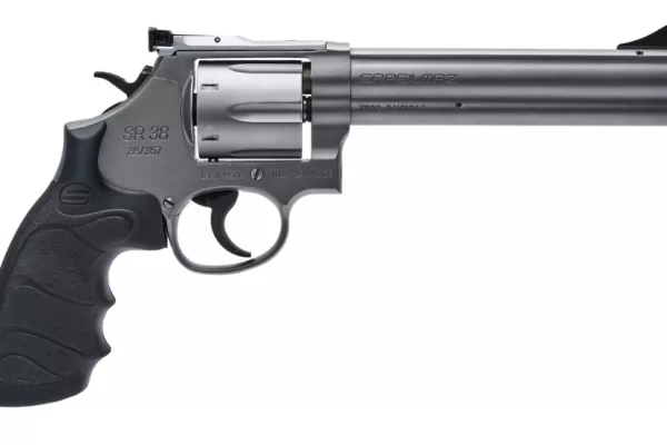 RUYADA  SİLAH GÖRMEK