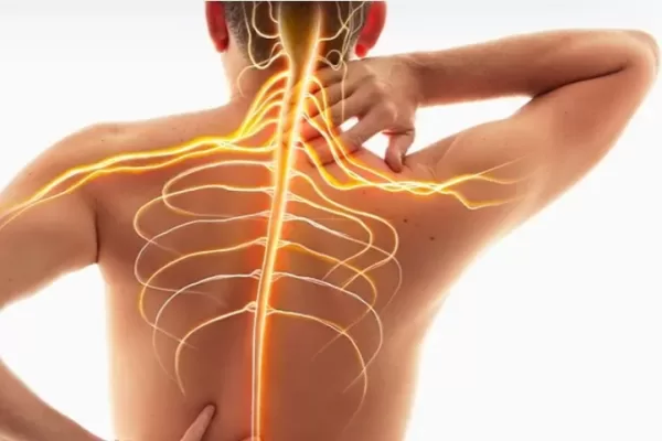 RUYADA   SİNİR GÖRMEK