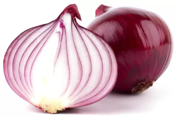 RUYADA  SOĞAN GÖRMEK