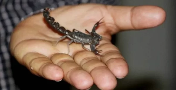 RUYADA    SOKMAK GÖRMEK