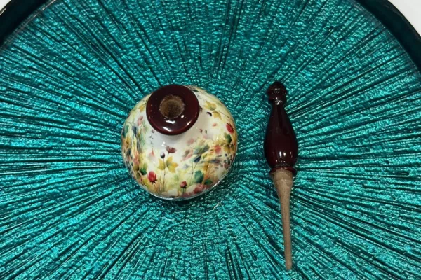 RUYADA   SÜRME  KABI GÖRMEK